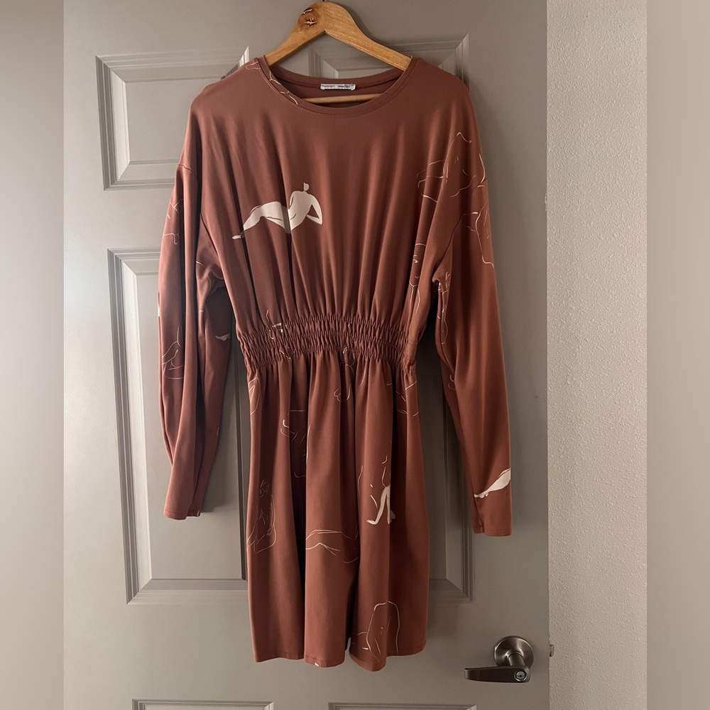 Zara Female Silhouette Dress